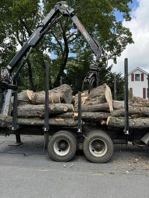 Morrison Tree & Landscape Services