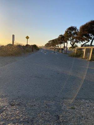 McLaughlin Eastshore State Park