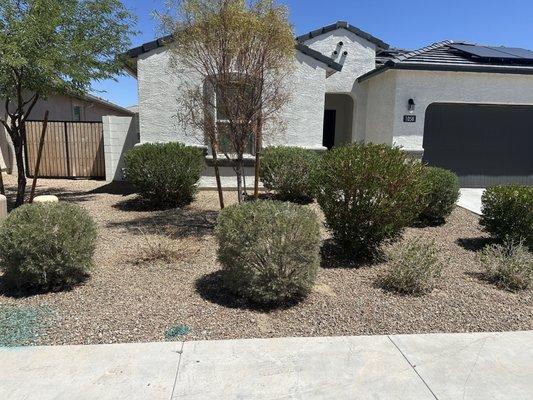 Landscaping and weed killer