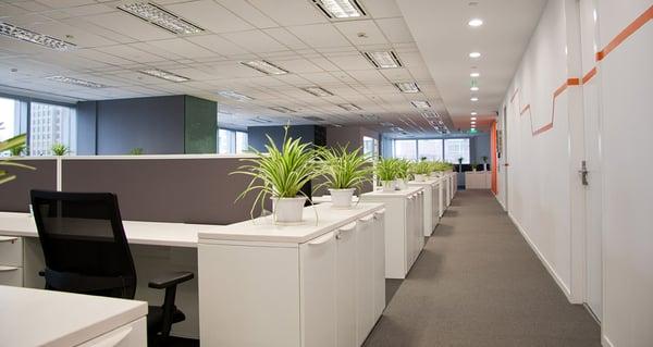 IT Staffing Office, Astoria, NY