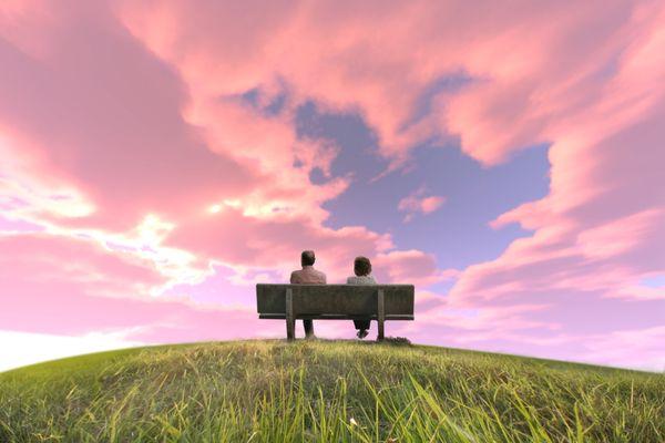 The Home Care Company