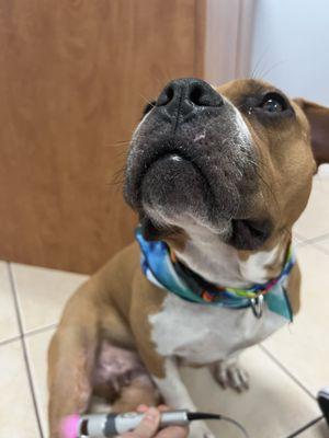 All Animal Care Clinic