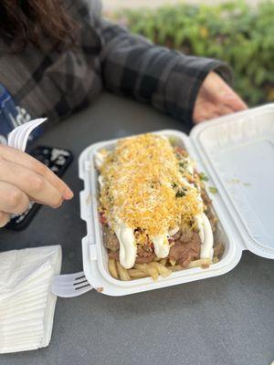 Carne asada fries