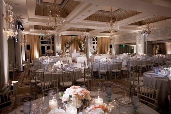 Bluebell Events