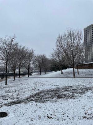 Montgomery Ward Park