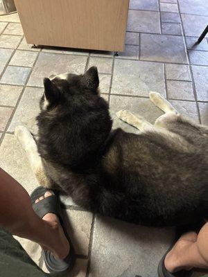 Roseville Smog Center