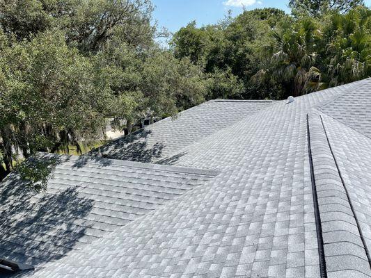Shingle Roof