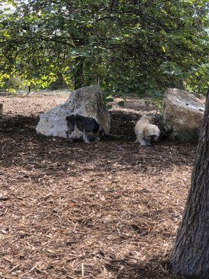 Panther Springs Park