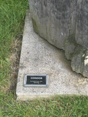 "Condor" by Dudley Carter