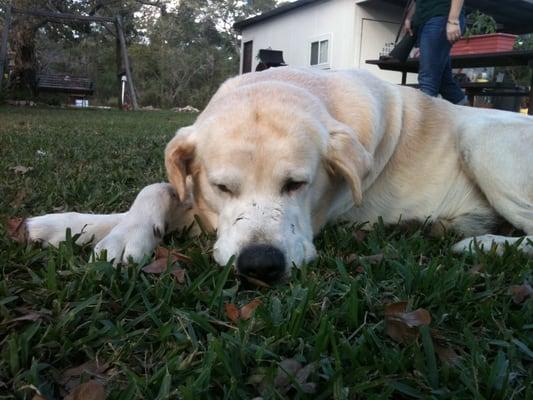 Ol' Boe loves his Doctor :)