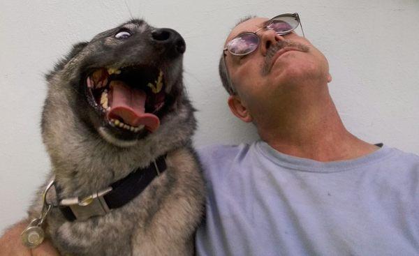 OnHowliday Pet Sitters