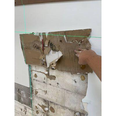 drywall mold remediation