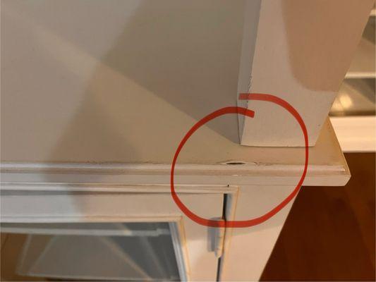 Carol House Furniture