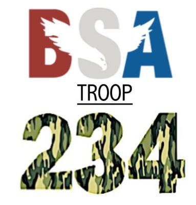 Troop 234 Logo