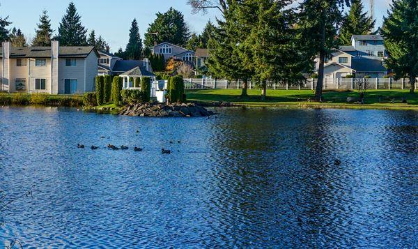 Fountain Lake Townhomes