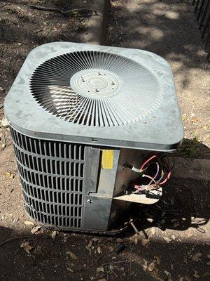 Hill Country DC Services