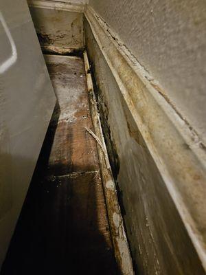 FLOOR 4 BUILDING A MOLD