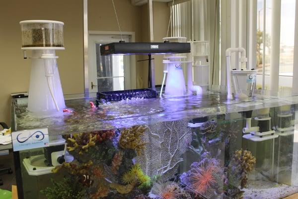 CAD Lights Aquariums