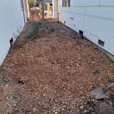 Stump grinding service. Stump removal .