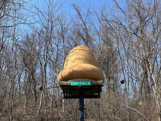 Kecksburg Space Acorn