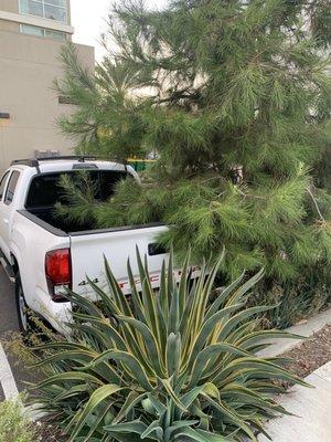 Advanced Parking Systems