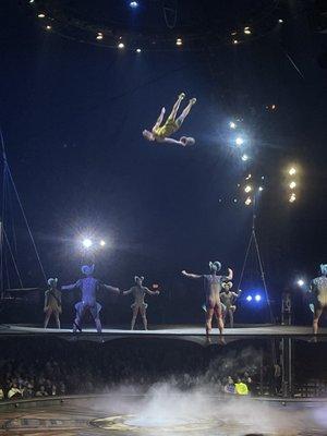 Cirque Du Soleil Echo