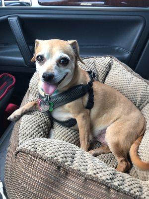 Santa Cruz County Animal Shelter