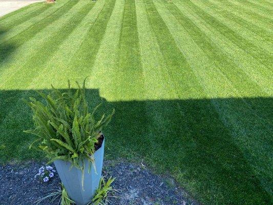 Natural Frontier Landscaping