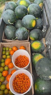 The Farmstead Market