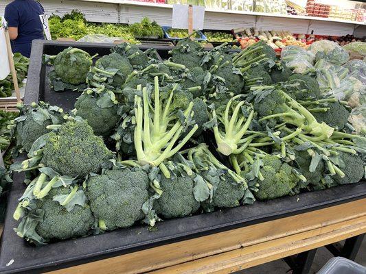 Rockaway Farmers Market