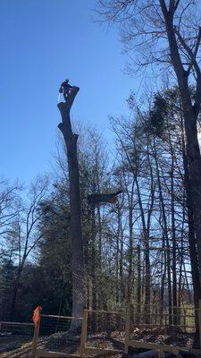 Johnny’s Tree Service & Lansdcaping
