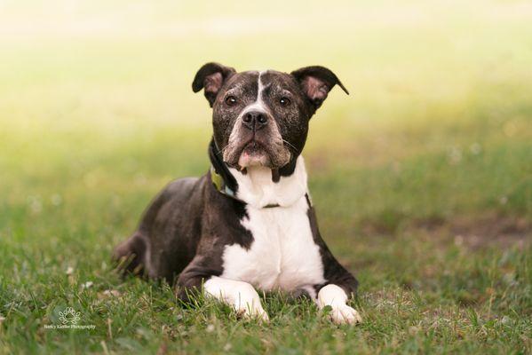 Nancy Kieffer Photography