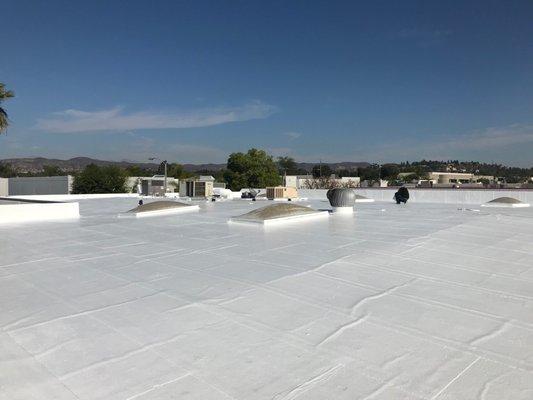 Silicon roof system