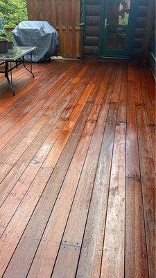 This is our 16 x 36' deck which overlooks Crystal Lake.