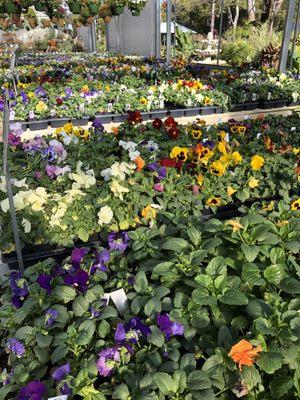 Warren Family Garden Center & Nursery