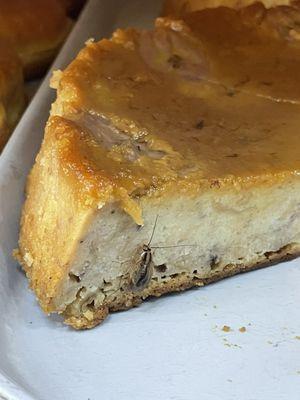 A roach, if there is one, there is more!