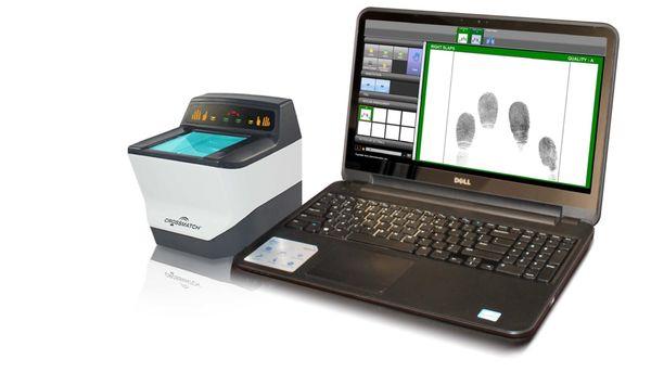 Action Notary & Apostille