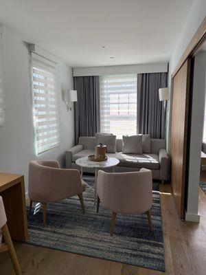 Guest room, pull out sofa