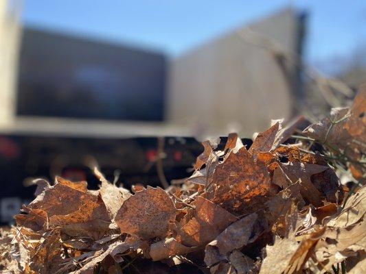 Better Grounds Management