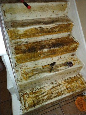 Hernandez Construction