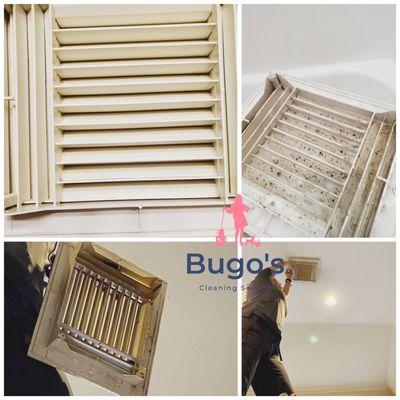Bugo's Cleaning Service