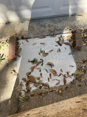 Dawson Foundation Repair