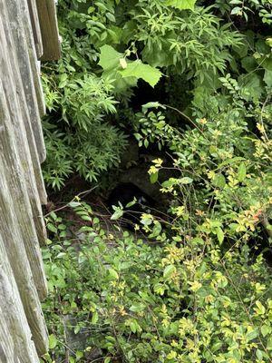 Ted C Collins Law Enforcement center