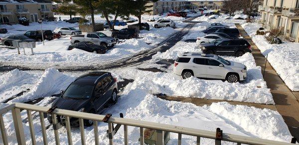 2 days after snowstorm. Parking Lot hasn't been touched. Apartment dwellers had to dig themselves out! Horrible! Jan 2022