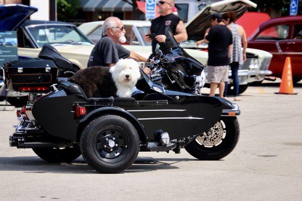 Car show, Festival Park