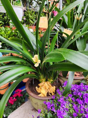 U And Me Grocery And Garden