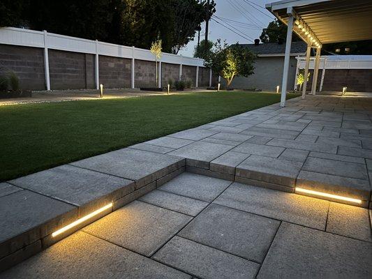 Green Cactus Landscapes