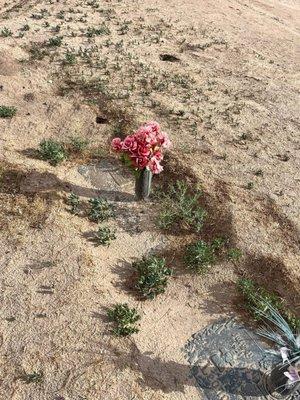 Memory Gardens of the Valley