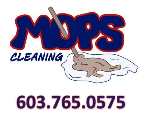 Mops Cleaning
