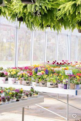 Riverside Greenhouse